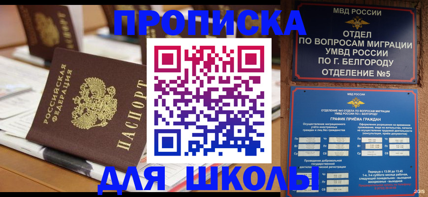 временная регистрация для всех в Димитровграде